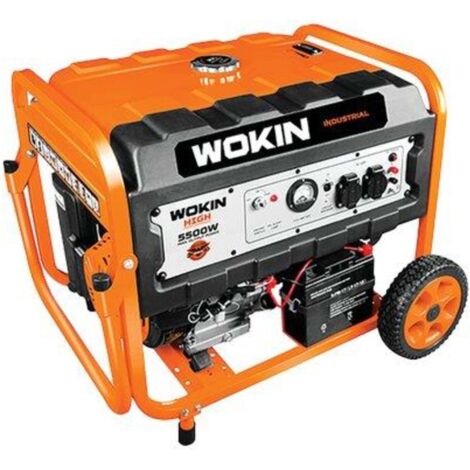 GENERATORE CORRENTE 791255 WOKIN