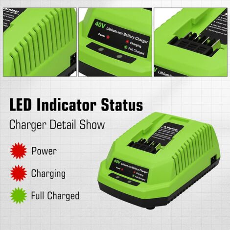 Risultati Per Batteria Greenworks 40v G MAX - Foto 9