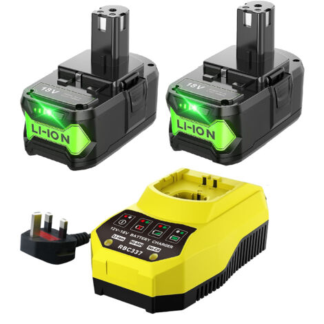 Lot de 2 batteries de rechange Ryobi 18 V P108 P102 9.0 Ah et chargeur P117, compatibles avec les outils sans fil Ryobi 18 V P103 P104 P105 P107 P109 P190 P191 P122 (1/5)