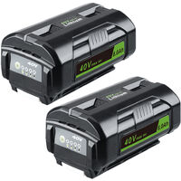 Chargeur Double Vhbw Compatible Ryobi BPL3626, BPL3640, BPL3650 - Charge Rapide Et Sécurisée 36V