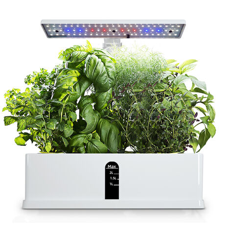 Kit Luce Coltivazione 600w Idroponica Alimentatore Lampadina Riflettore