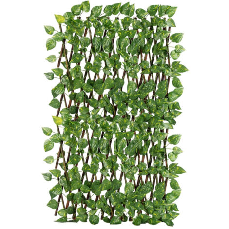 Traliccio Potos Foglie Rampicante Verde Frangivista Recinzione Giardino Balcone 1x2mt