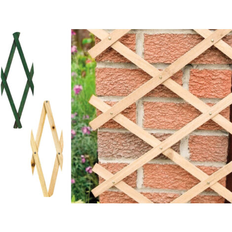 Traliccio Estensibile In Legno Per Piante Rampicanti Recinzione Giardino Balcone, misura100x200coloreVerde