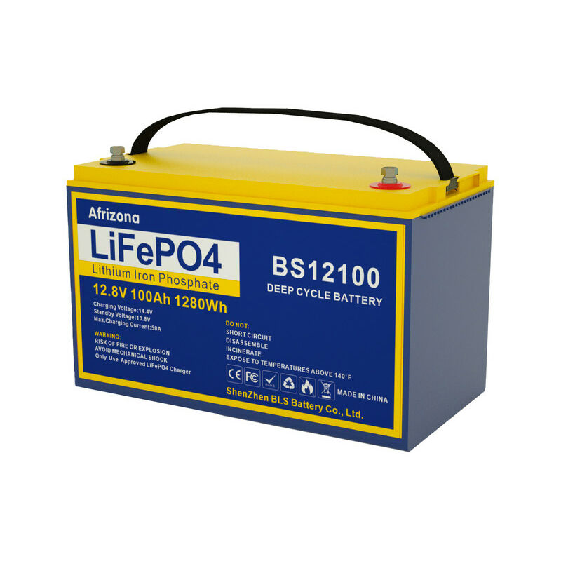 Ninthcit Batterie LiFePO4 12,8 V 100 Ah 1280 Wh avec panneau