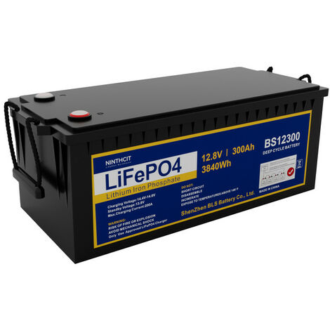 LiFePO4 Batterie au lithium rechargeable 300 Ah 300 Ah, 8000 cycles max.  3840 Wh Sortie LiFePO4