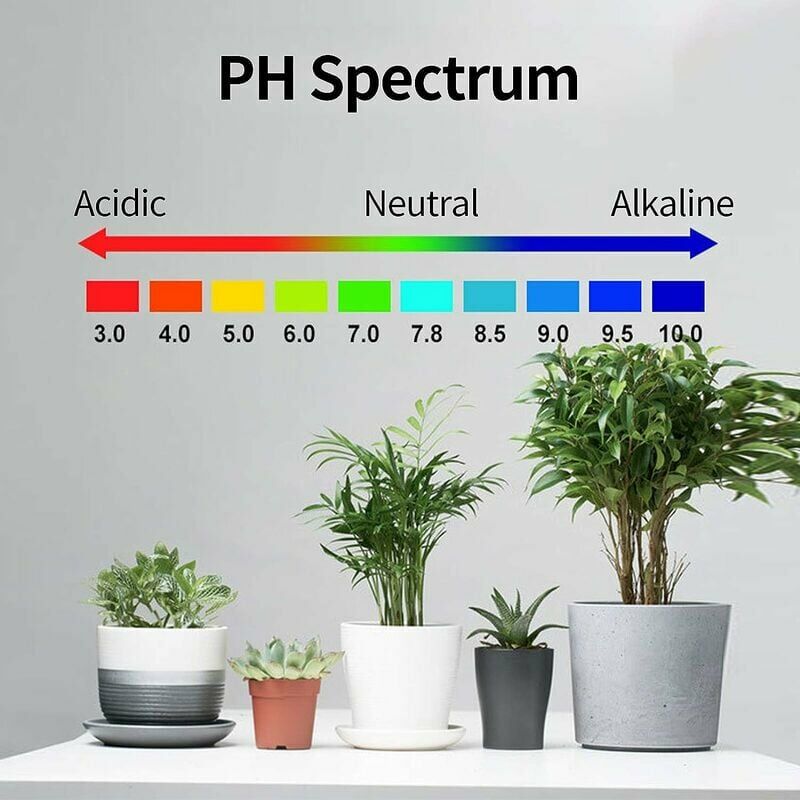 1pc Testeur D'humidité Pour Plantes D'intérieur Kit De Test - Temu