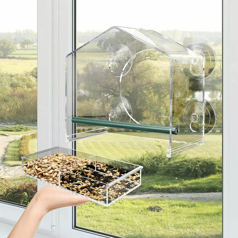 Mangeoire à oiseaux de fenêtre pour l'extérieur avec 4 tiges, mangeoire à  oiseaux en acrylique avec ventouses puissantes et trous de drainage