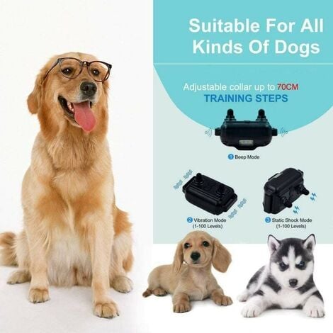 Colliers de dressage pour chiens Collier de dressage anti-aboiement de 800 mètres avec télécommande rechargeable et IPX7 entièrement étanche