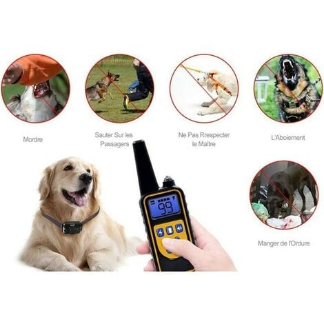 Colliers de dressage pour chiens Collier de dressage anti-aboiement de 800 mètres avec télécommande rechargeable et IPX7 entièrement étanche