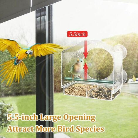 Mangeoire à oiseaux pour fenêtre avec 4 tiges en acrylique avec ventouses  puissantes et trous de drainage