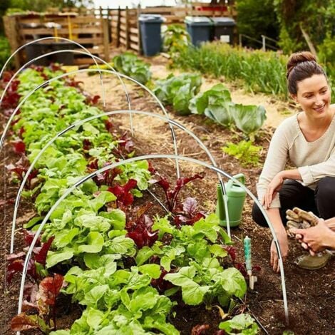 Ulisem Ensemble de 18 Arceaux pour Serre Tunnel Surélevée, Constituant un Cadre de Culture en Fibre de Verre pour Vos Plantes dans le Jardin.
