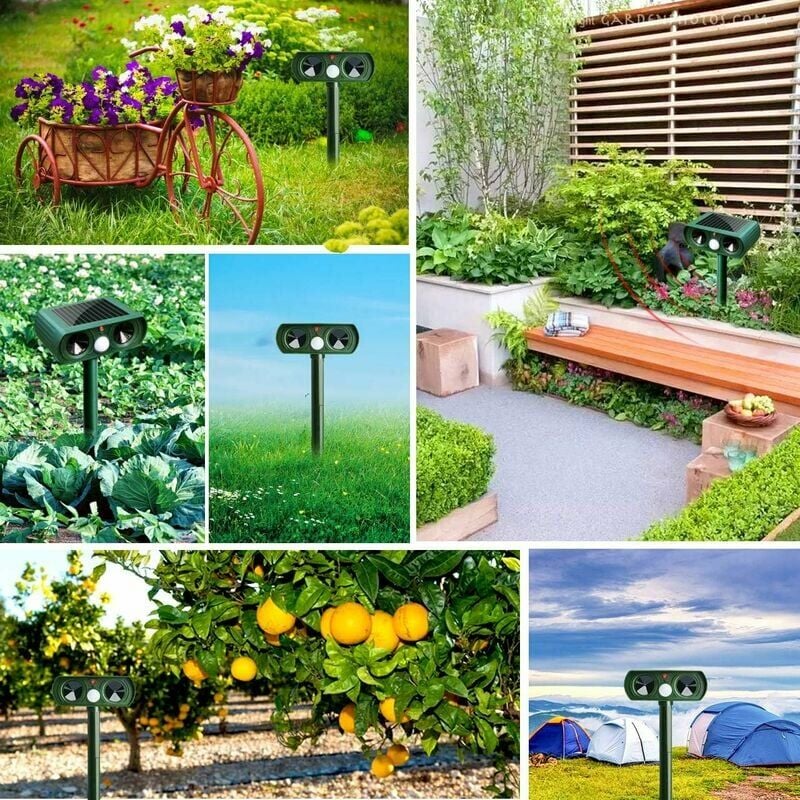 MERKMAK Repulsif Chat Ultrason Solaire Exterieur Sensibilite Et Frequence  Reglable Pour Repousser Animaux Nuisibles Protecteur De Jardin - haute  qualité - Outil d'entretien du jardin Soldes