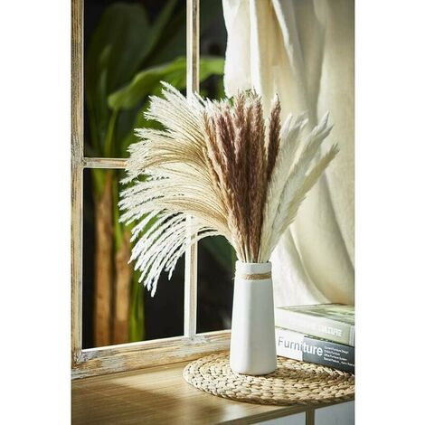 Bouquet De Fleurs Séchées De Pampa - Herbe De La Pampa