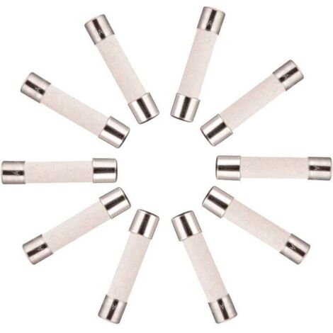 10x Fusible Temporisé (T) en céramique 10A / 250VAC 5x20mm (1/4)