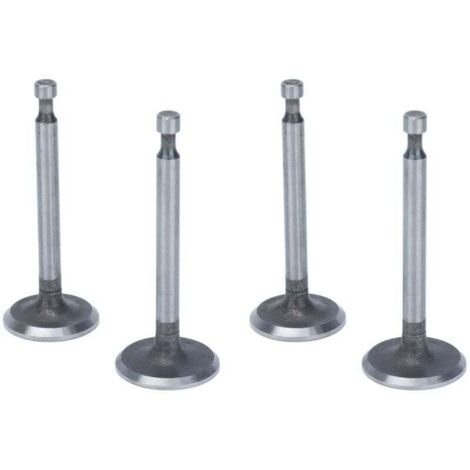 Kit de soupapes de moteur, 2 ensembles de soupapes d'admission antirouille en acier inoxydable pour moteurs à 2KW 2.5KW 3KW 168F GX160 (1/4)