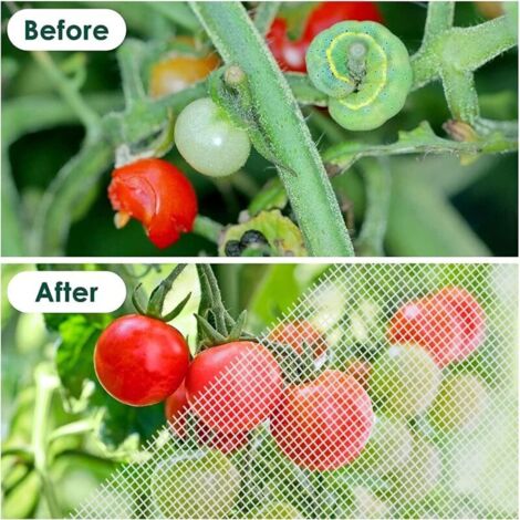 Filet Anti-Insectes Potager 2,5 X 10 M – Maille Fine 0,8x1 Mm – Protection Légumes Fruits Fleurs – Réutilisable 3-5 Ans