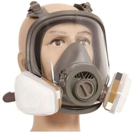 6800 Masque respiratoire intégral, casque de protection faciale pour peindre, vapeur et poussière organiques, deux types de connecteurs (1/3)