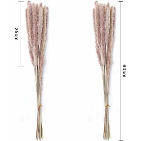 30 pcs Herbe de la Pampa, 60 cm Naturel Pampa Fleur Bouquet de Fleurs ...