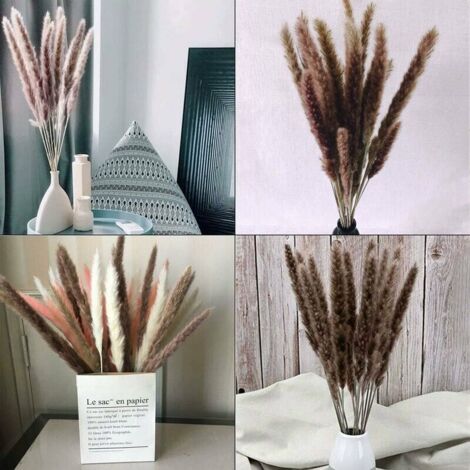 30 pcs Herbe de la Pampa, 60 cm Naturel Pampa Fleur Bouquet de Fleurs ...