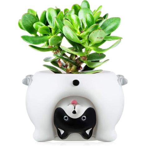 Pot de Fleurs d‘’Animal Mignon Pots de Fleurs de Dessin Animé Mini Pots de Plantes Succulentes Petit Pot de Plantes en Résine Mignon avec Trou de Vidange, 2,6 Pouces (Chien Blanc) (1/5)