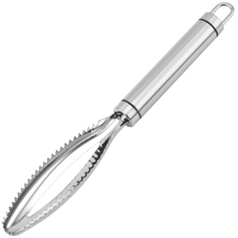 2 pièces en acier inoxydable rabot manuel grattage échelle de poisson rabot détartreur gadgets de cuisine en dents de scie (1/5)