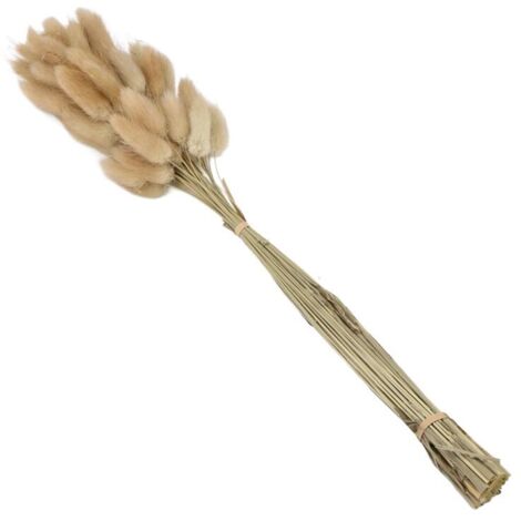 100 Fleurs Séchées Queue De Lapin 40 Cm – Naturel Blanc Gris Bleu Ciel – Bouquet Mariage Déco Bohème