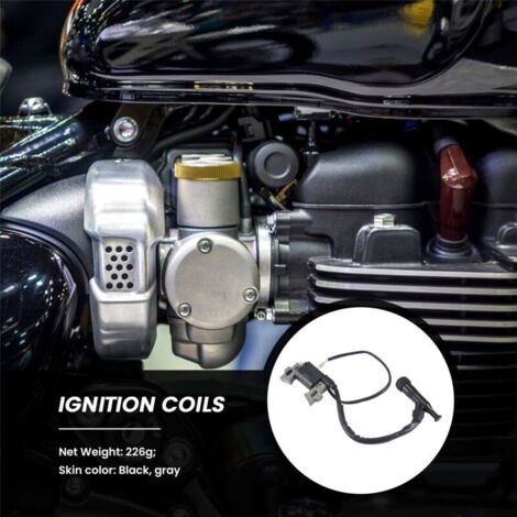 Bobine Allumage Générateur 2kw 3kw Bobine D'Allumage WANGCL Pour Générateur 168F-170F 2KW/3KW - Pièce Moteur Essence