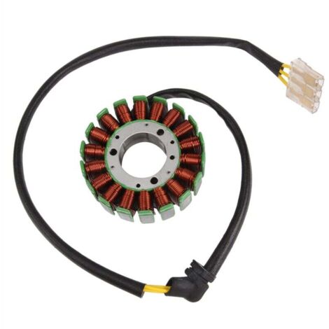 Stator GéNéRateur Bobine Moto Fournitures pour 390 (1/4)