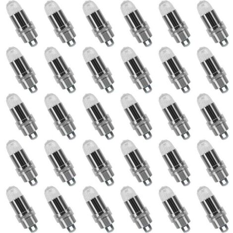 30PCS LED Ballons Lampes Lumineuses Blanc froid pour Lanterne Papier Décoration Mariage,Fête [Classe énergétique A+] (1/4)