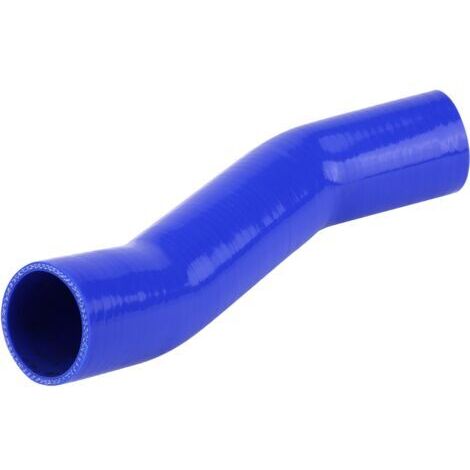 Tuyau Turbo en Silicone pour refroidisseur intermédiaire EGR Boost, pour Jaguar X Type 2.0 – 2.2D 03-09 C2S26986 (1/4)