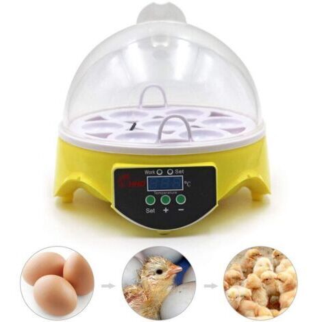 Couveuse Oeuf 7 Oeufs, Incubateur Oeuf De Poule Couveuse Poussin, Contrôle Automatique De La Température Et Affichage Numérique De La Température Par Led (1/5)