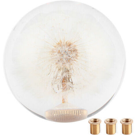 [JAMAIS UTILISÉ]Pommeau de Levier de Vitesse, Pommeau de Levier de Vitesse à Bille Transparente de 2,8 Pouces, Bouton de Fleurs de Pissenlits en Cristal Véritable avec 3 Adaptateurs de Filetage (1/4)