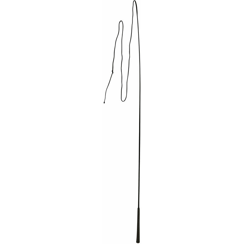 Chambrière Divisible 180 Cm QHP, Pour Longe, Travail à La Main, équitation, Matériel équestre Pratique