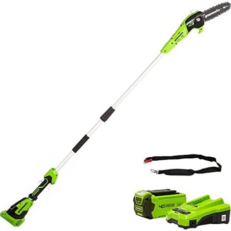 Greenworks- G40PSFK2 Élagueuse sur Perche, Longueur des barres 8 Pouces (20cm), Vitesse 8 m/s, 3,64 kg, Graisseur Automatique, Portée 2.58 m, Batterie 40V 2Ah, Chargeur, Garantie 3 Ans