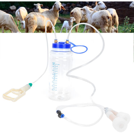 Ciseaux Double Face Pour Sabots Mouton/Chèvre/Cheval - 21,5 Cm Acier Inox - Neuf Virco UK