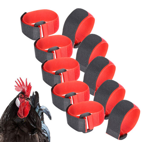 10 pièces Collier de Coq pour arrêter de Chanter Collier en Nylon Anti-Crochet Collier de Sangle de Cou Bruit Rouge Collier de Poulet pour Animaux de Compagnie