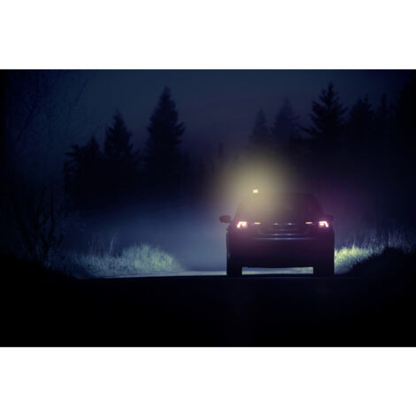 OSRAM LEDguardian TRUCK FLARE - Warnlicht TA19 Für LKW Ab 3,5t