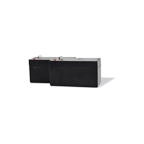 SCS Sentinel - AAM0127 - Un corredo di 2 batterie di sostegno - 12 / 24V - 30 CM