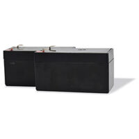 SCS Sentinel - AAM0127 - Un corredo di 2 batterie di sostegno - 12 / 24V - 30 CM