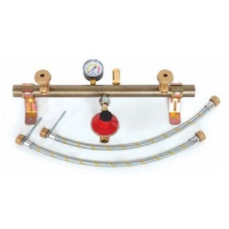KIT CENTRALINA GAS 2 VIE Regol. 4 Kg/h