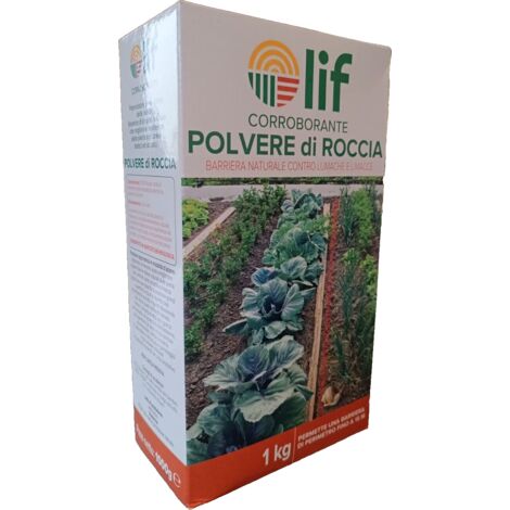 POLVERE DI ROCCIA Gr. 1000 (1/4)
