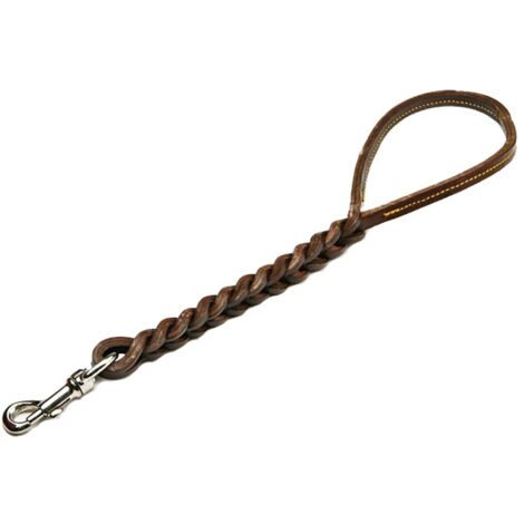 GUINZAGLIO PER CANE cm 75 (1/2)