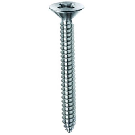 SC VITE AUTOFILETTANTE TSP 4,2X50MM ZINCATA 10PZ