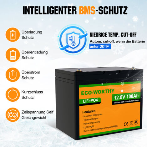 ECO-WORTHY 240W Solarpanel Kit solaranlage komplettset 1 kWh/Tag: 2pcs 120W Mono Solarpanel + 100Ah 12V LiFePO4 Lithium Batterie + 600W Wechselrichter + 30A Solarladeregler für Wohnmobile