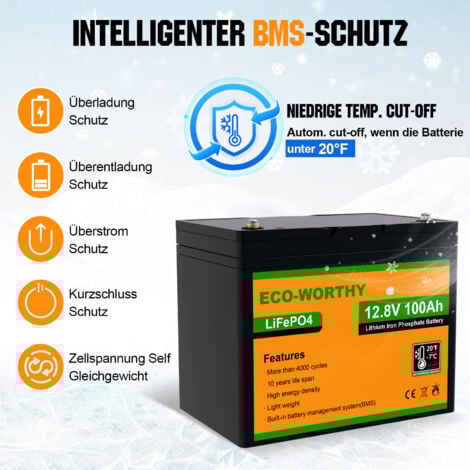 ECO-WORTHY 6kWh/Tag Solaranlange komplettset 1560W 24V netzunabhängig für Wohnmobil:8pcs 195W Bifaziale Solarpanel+60A MPPT Laderegler+4 Stücke 100Ah Lithium Batterie+3000W 24V Wechselrichter