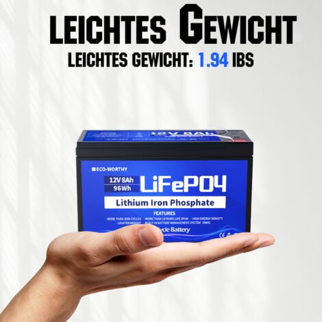 ECO-WORTHY 12V 8Ah LiFePO4 Akku Lithium batterie wiederaufladbar mit über 3000 Mal Tiefzyklus und BMS Schutz für Solaranlage, Fischfinder, Kinderwagen,Boot, Solarpanel Kit, Wohnmobil, Camping