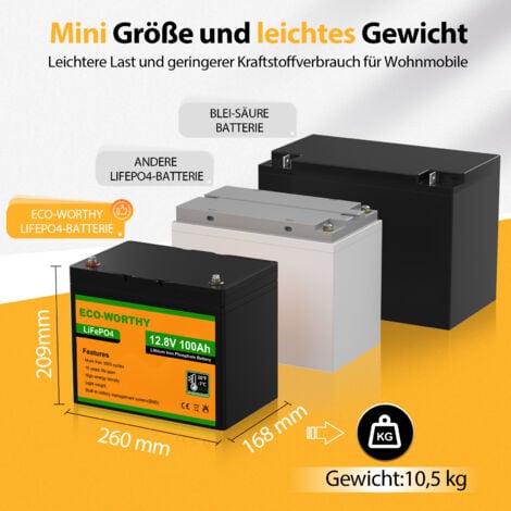 12V 100Ah LiFePO4 Batterie - Lithium Batterie Mit 18000 Zyklen Für Solar & Wohnmobil