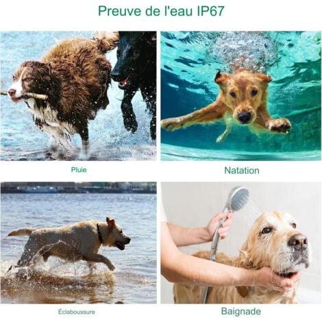 Collier de chien Rechargeable 1000m, Collier avec Mode Vibration, Son, Choc Statique et Lumière Adapté Aux Chiens de Petits, Moyens et Grands Tailles (Collier)