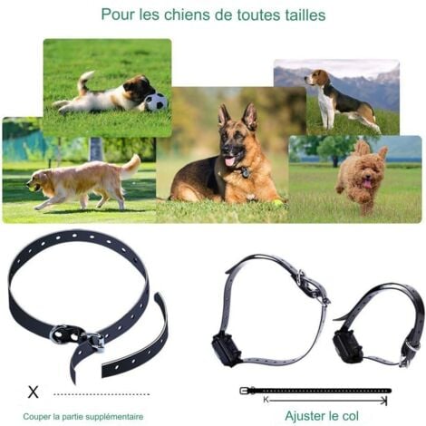 Collier de chien Rechargeable 1000m, Collier avec Mode Vibration, Son, Choc Statique et Lumière Adapté Aux Chiens de Petits, Moyens et Grands Tailles (Collier)