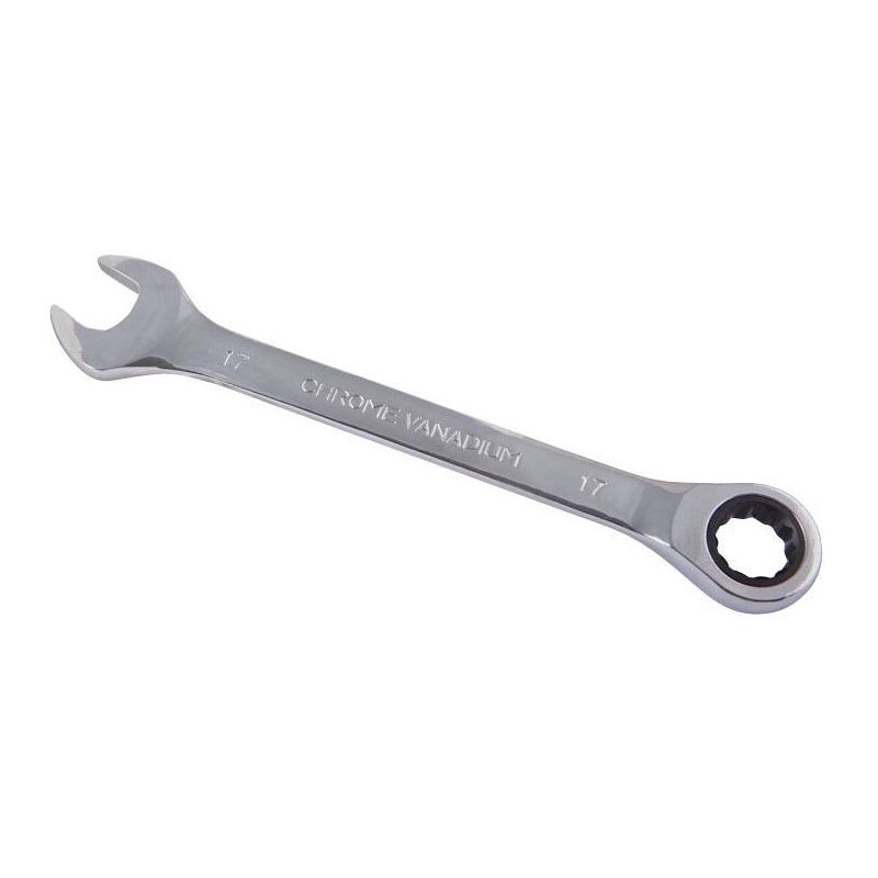 Cles a cliquet mixtes 6pcs 8-17mm